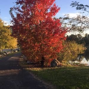 Meet your Posher, Diana